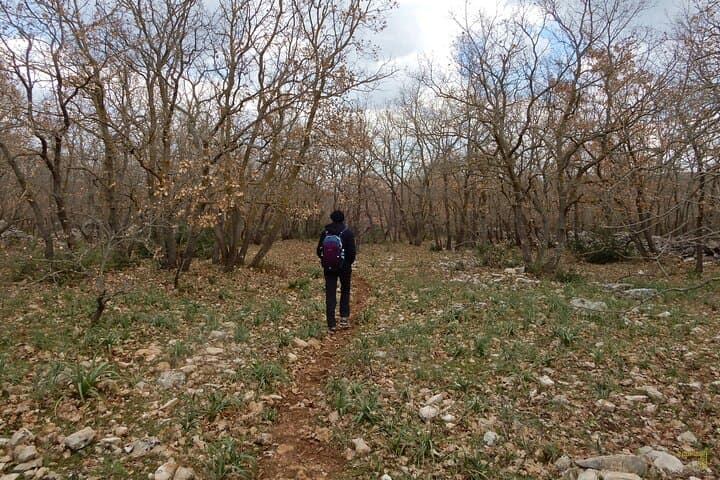 Querceti di Quasano: Oak-forest Walk on the Alta Murgia Near Bari