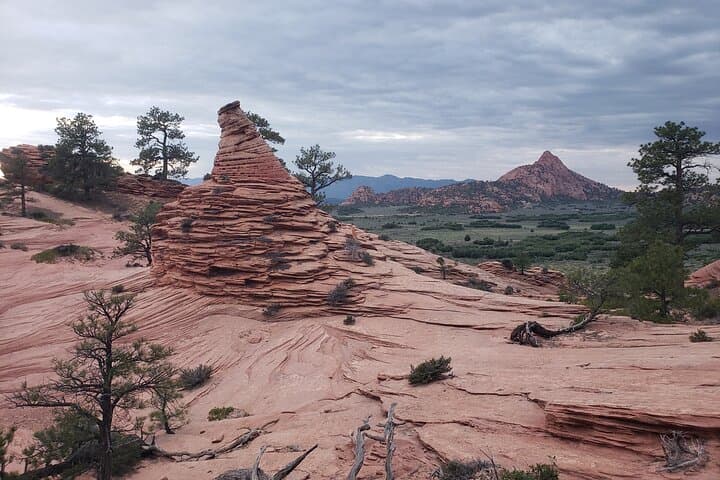 Private Kolob Terrace Half-Day Zion Sightseeing Tour photo 6