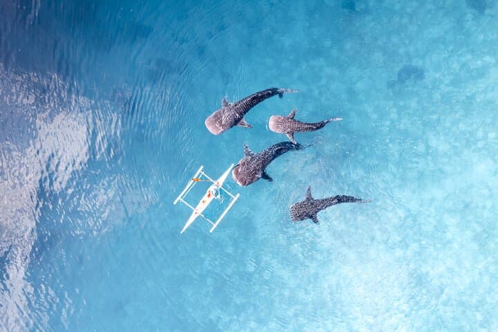 15-Day Best Philippine Islands Adventure: Palawan, Cebu, Bohol & Boracay photo 6