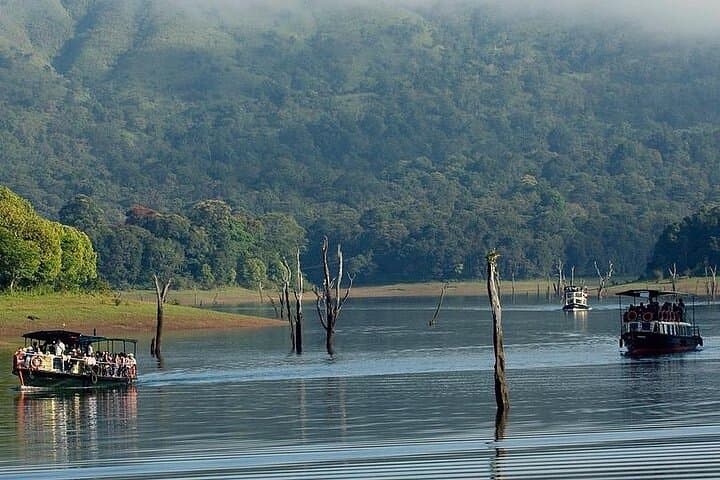 5-Night Kerala Private Tour: Munnar, Thekkady & Alleppey Houseboat Experience photo 4