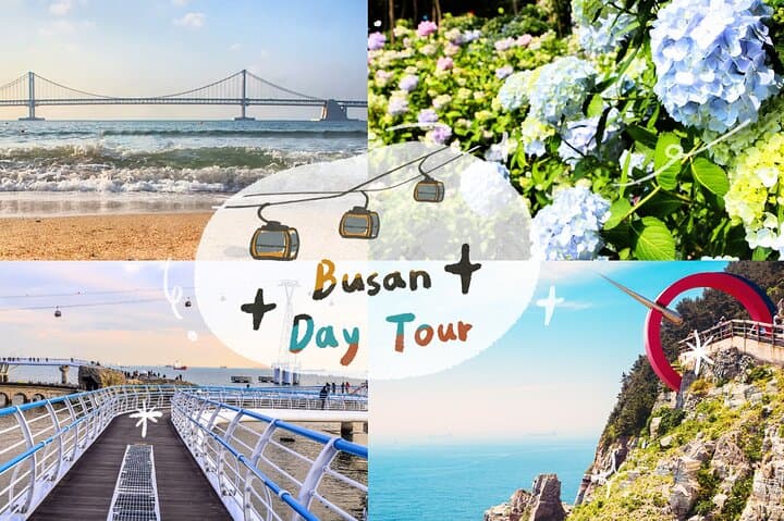 Busan Highlights: Hydrangea Season, Songdo Air Cruise & Gamcheon Village Day Tour