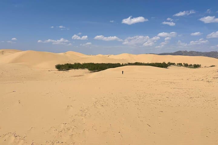 Semi-Gobi and Khustai National Park: 2-Day Mongolian Steppe Adventure photo 3