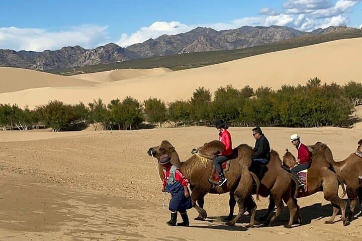 Semi-Gobi and Khustai National Park: 2-Day Mongolian Steppe Adventure photo 4