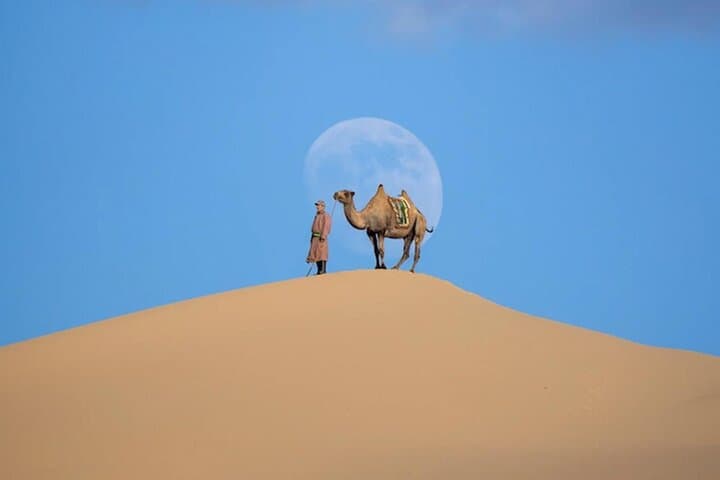 Semi-Gobi and Khustai National Park: 2-Day Mongolian Steppe Adventure