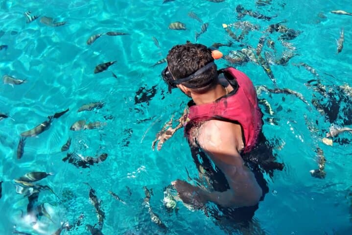 Hurghada Private 4-Hour Speedboat Tour with Snorkeling & Dolphin Swim photo 3