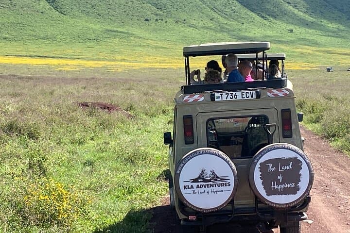 4-Day Private Safari to Tarangire, Serengeti and Ngorongoro (Fly In/Out from Zanzibar) photo 4