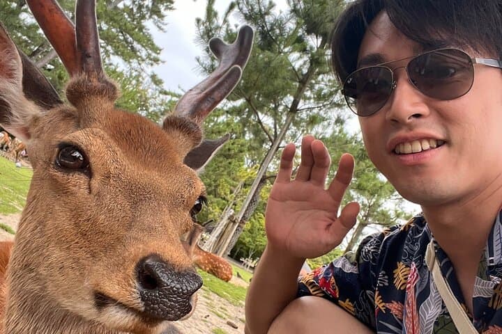 One-Day Kyoto, Nara & Osaka Private Tour — Shrines, Deer & Street Food photo 2