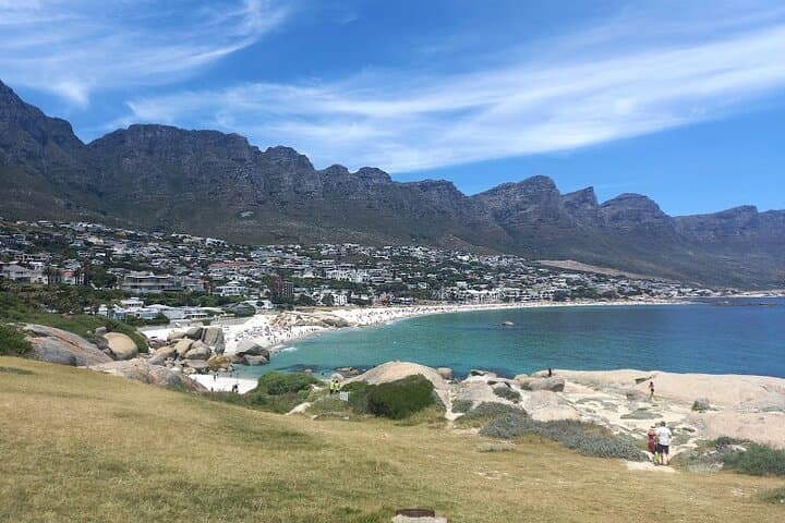 Cape Peninsula Day Tour: Table Mountain, Boulders Penguins & Cape of Good Hope photo 3