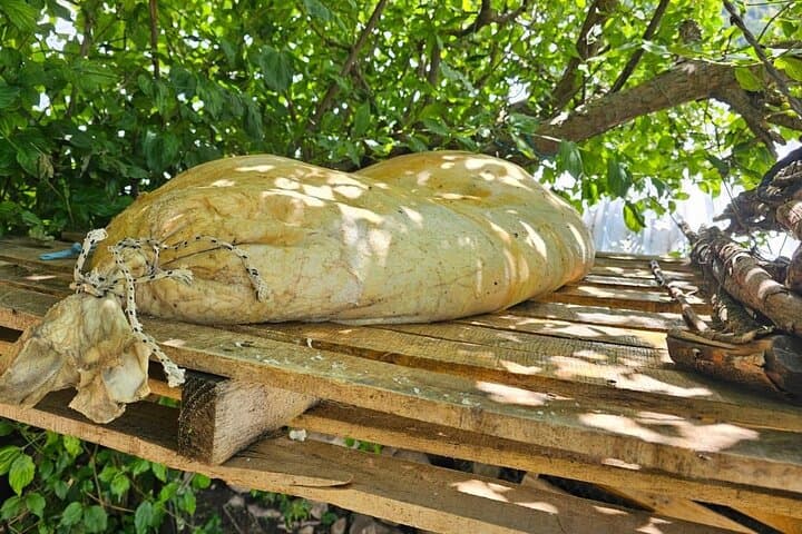 Shepherd's Hut Experience in Cajupi and Gjirokastër: A Day with Albanian Shepherds photo 2