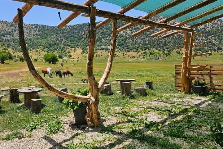 Shepherd's Hut Experience in Cajupi and Gjirokastër: A Day with Albanian Shepherds photo 3