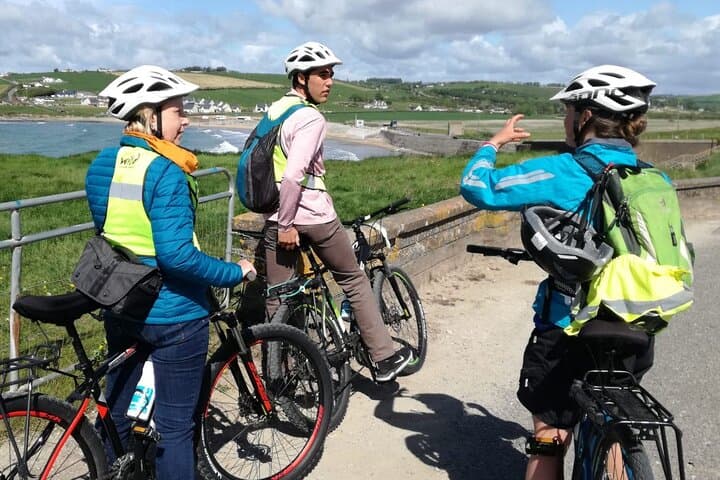 Wild Coast Bike & E‑Bike Tour: Old Head to Ballinspittle on the Wild Atlantic Way