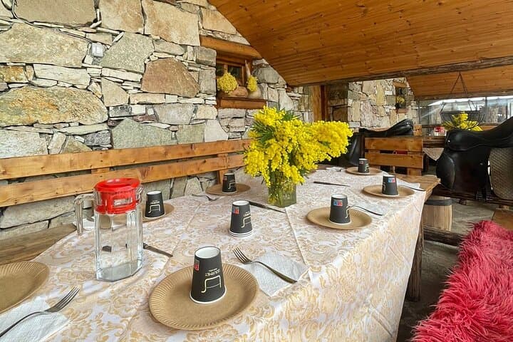 Shepherd's Hut Experience in Cajupi and Gjirokastër: A Day with Albanian Shepherds photo 6