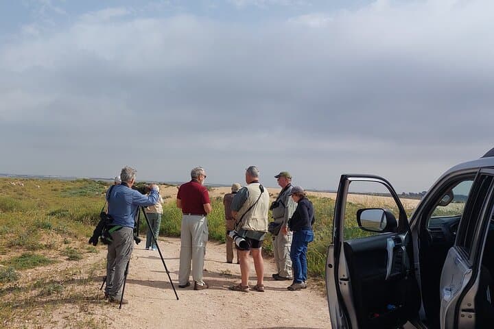 Half-Day Souss-Massa Wildlife Trip from Taghazout