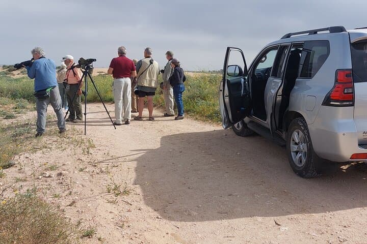 Half-Day Souss-Massa Wildlife Trip from Taghazout photo 3