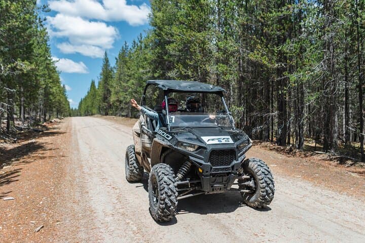 RZR Adventure to Sawtelle Peak — Island Park UTV Tour to Big Springs & Summit Views