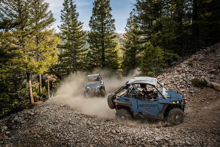 RZR Adventure to Sawtelle Peak — Island Park UTV Tour to Big Springs & Summit Views photo 3