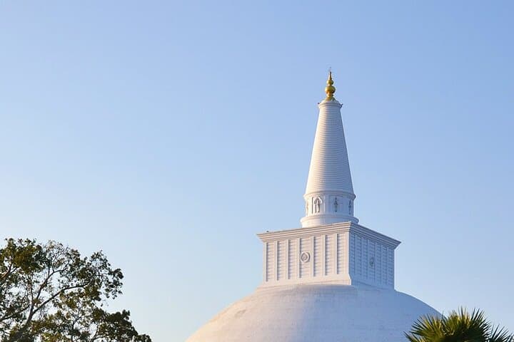 Wilpattu Jeep Safari and Anuradhapura Day Tour from Sigiriya: Wildlife, Ruins & Ancient Stupas photo 4