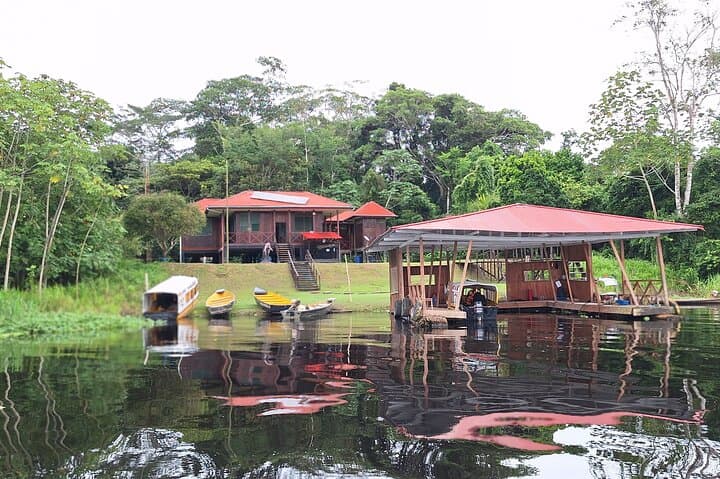 Full-Day Pacaya Samiria Reserve: Amazon Wildlife Cruise from Iquitos photo 3