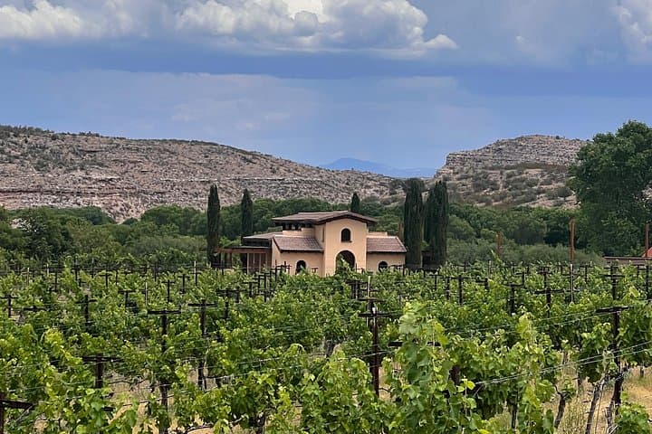 Alcantara Estate Vineyards Tasting Experience: Private Wine Tour Near Sedona photo 4