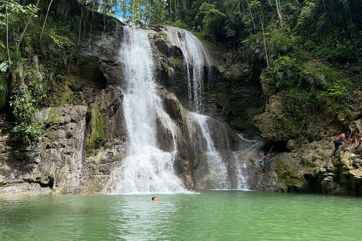 Gozalandia Waterfalls & Coffee: Full-Day Tropical Rainforest Tour from San Juan