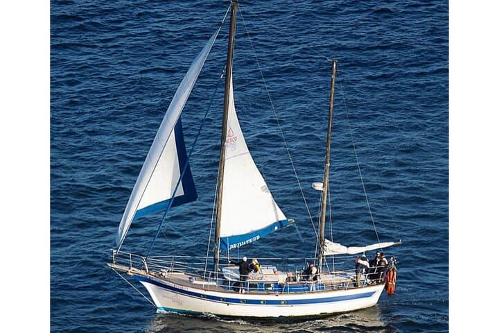 Sailing Under the Golden Gate: San Francisco Bay 2-Hour Cruise photo 5