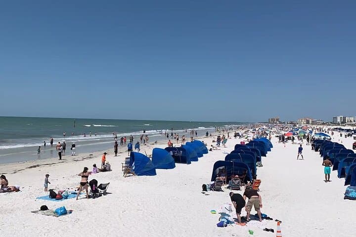 Orlando to Clearwater Beach: Dolphin Cruise & Beach Day Trip photo 5