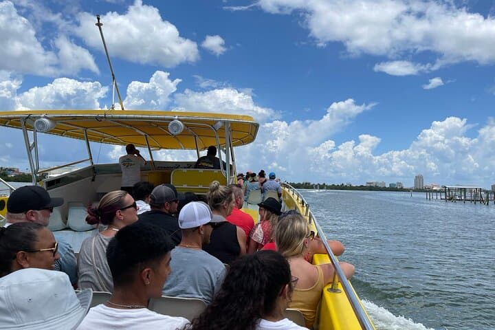 Orlando to Clearwater Beach: Dolphin Cruise & Beach Day Trip photo 3