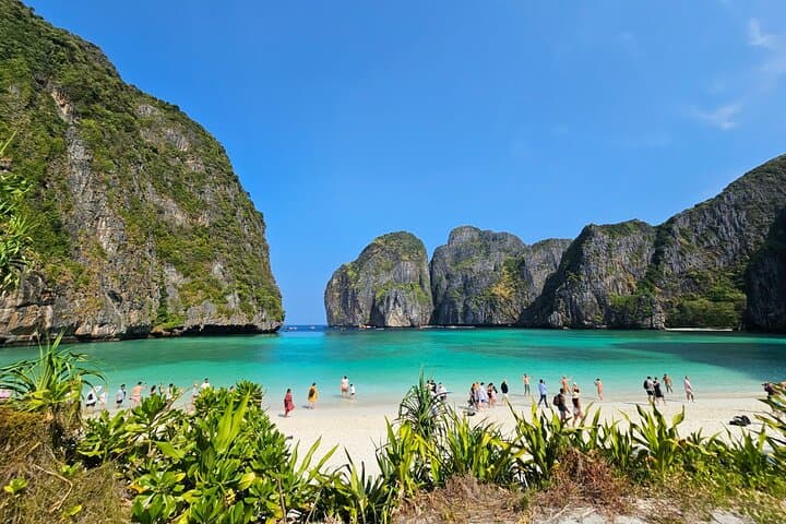 Full-Day Phi Phi Islands Speedboat Trip: Maya Bay, Pileh Lagoon & Bamboo Island