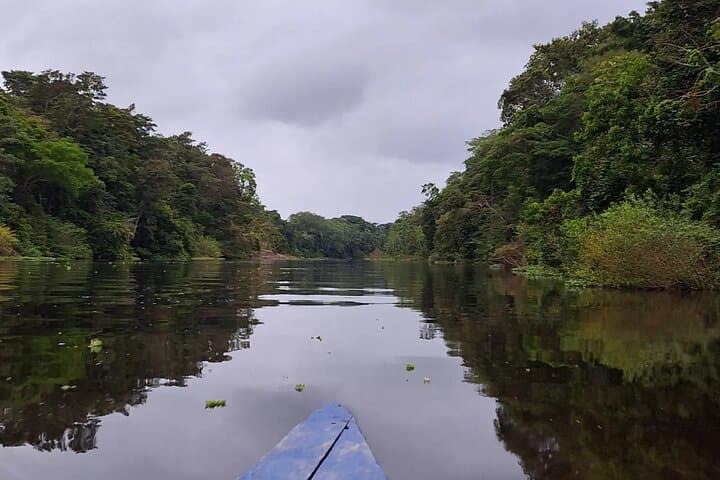 Full-Day Pacaya Samiria Reserve: Amazon Wildlife Cruise from Iquitos photo 5