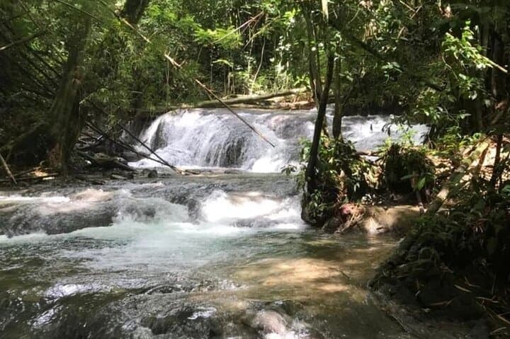 Mayfield Falls Nature Walk from Montego Bay — River Pools, Waterfalls & Fern Forests photo 2