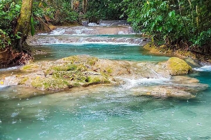 Mayfield Falls Nature Walk from Montego Bay — River Pools, Waterfalls & Fern Forests photo 4