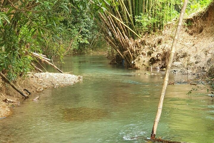 Mayfield Falls Nature Walk from Montego Bay — River Pools, Waterfalls & Fern Forests photo 5