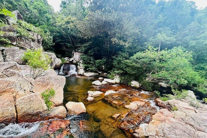 Overnight Trekking & Hammock Camping in Nui Chua National Park — 2-Day Jungle Hike photo 2