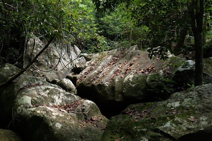 Overnight Trekking & Hammock Camping in Nui Chua National Park — 2-Day Jungle Hike photo 3