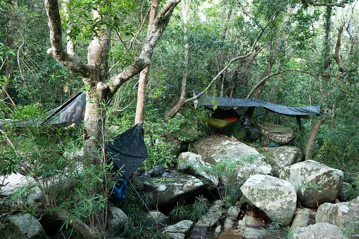 Overnight Trekking & Hammock Camping in Nui Chua National Park — 2-Day Jungle Hike
