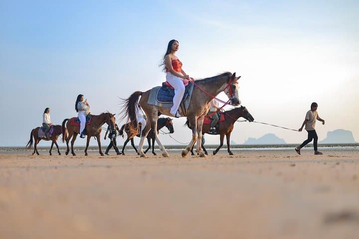 Krabi Beach Horse Riding: Swim with Horses & Coastal Trails