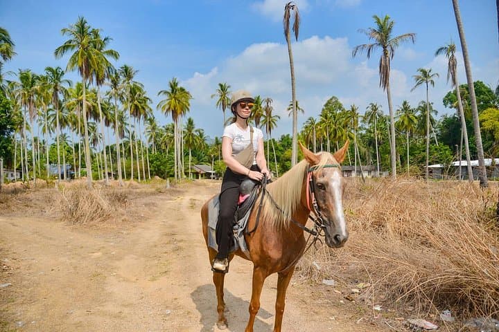 Krabi Beach Horse Riding: Swim with Horses & Coastal Trails photo 2