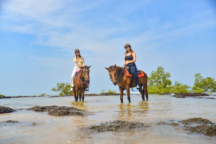 Krabi Beach Horse Riding: Swim with Horses & Coastal Trails photo 4