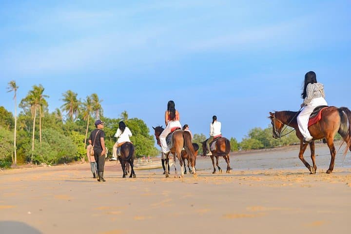Krabi Beach Horse Riding: Swim with Horses & Coastal Trails photo 6