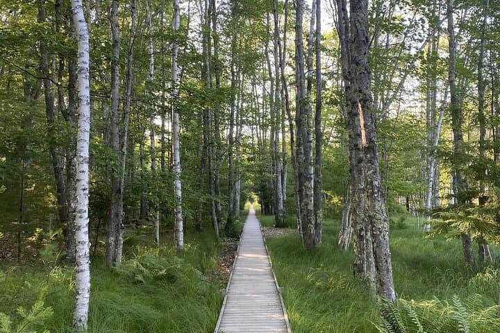 Explore Acadia National Park: Private 4-Hour Guided Tour from Bar Harbor photo 3
