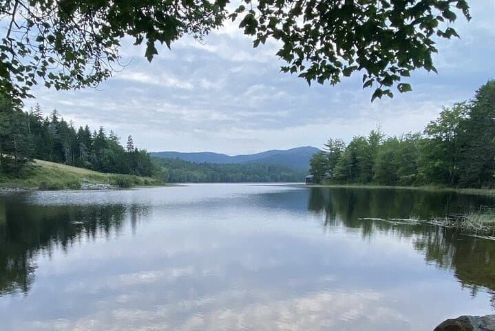 Explore Acadia National Park: Private 4-Hour Guided Tour from Bar Harbor
