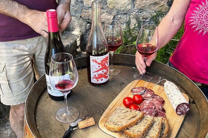 Faugères Vineyards Day Trip with Picnic from Béziers — Wine Tasting & Mill Visit