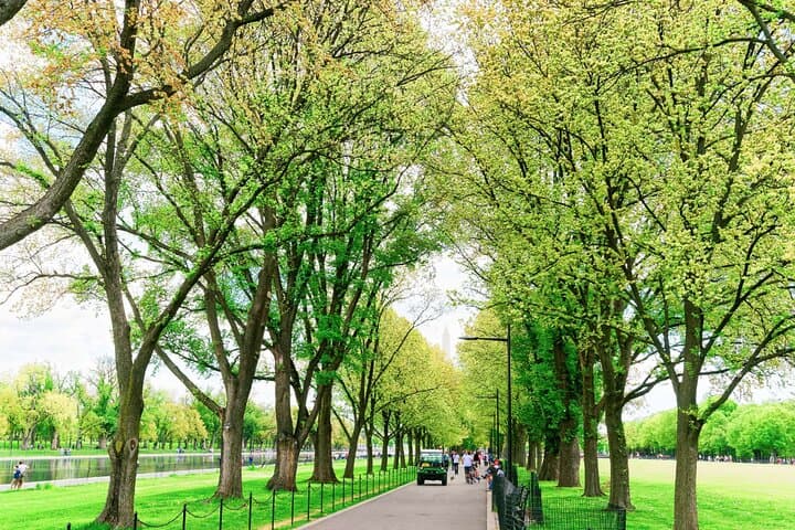 Architecture of Washington's National Mall: GPS Audio Walking Guide photo 4