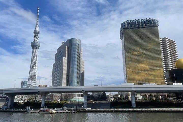 Half-Day Private Tokyo Tour: Tsukiji, Asakusa, Ueno & Akihabara photo 2
