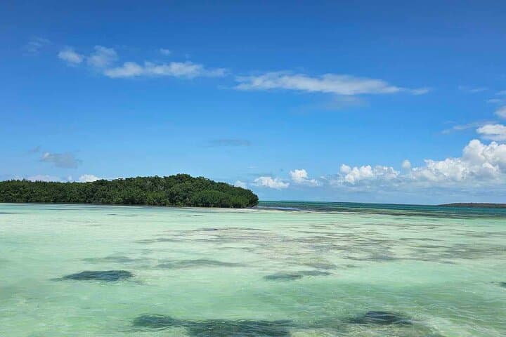 Saona Island Day Trip: Public Paradise Beaches, Snorkeling & Mangroves photo 2