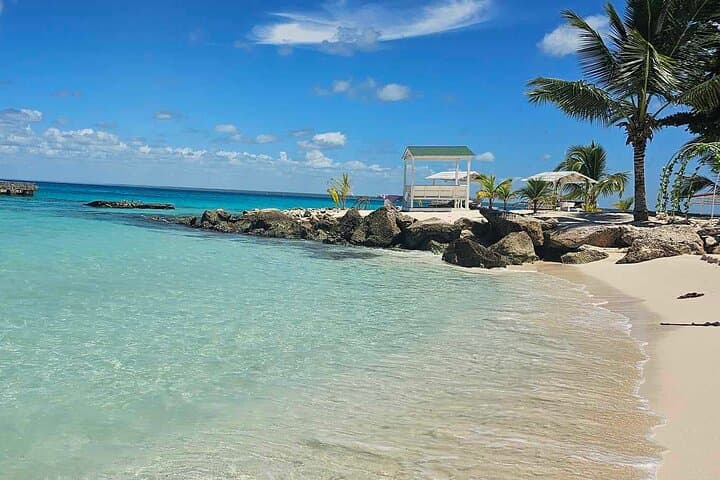 Saona Island Day Trip: Public Paradise Beaches, Snorkeling & Mangroves photo 3