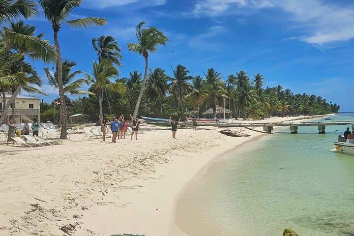 Saona Island Day Trip: Public Paradise Beaches, Snorkeling & Mangroves photo 4