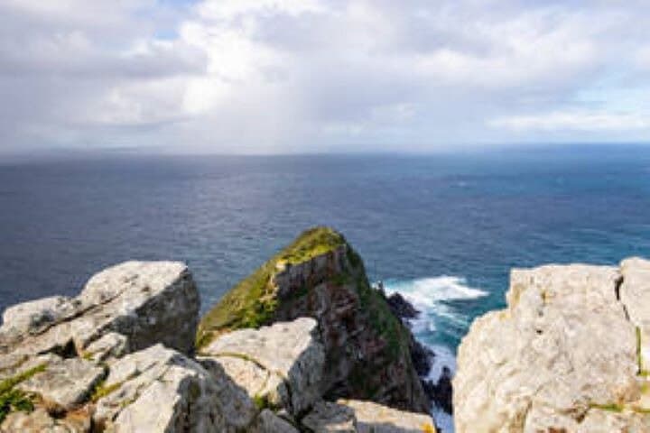Half-Day Cape Peninsula Tour — Chapman’s Peak, Cape Point & Boulders Beach photo 5