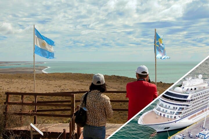 Peninsula Valdes Shore Excursion from Puerto Madryn — Sea Lions, Elephant Seals & Coastal Wildlife