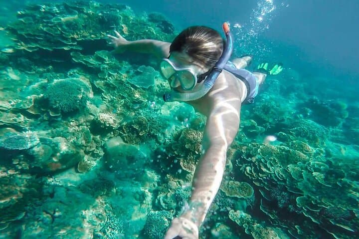 Snorkeling Cala Gonone: Explore Posidonia Meadows in the Gulf of Orosei photo 3